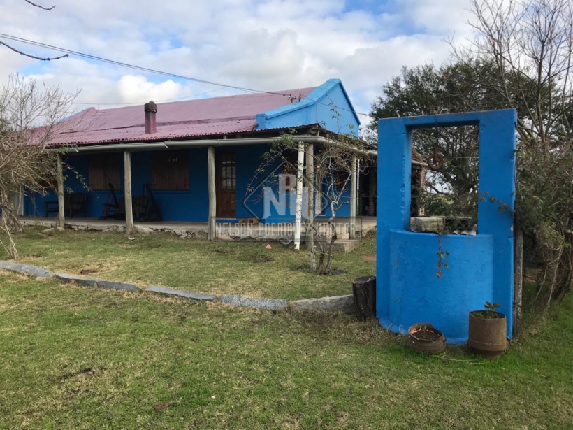 Fracción de campo de 27 hectáreas con poblaciones. Florida.