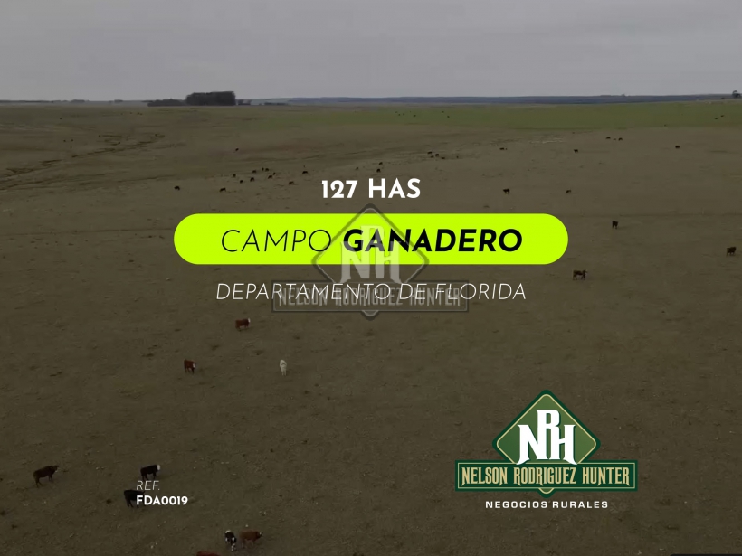 FDA0019 Campo Ganadero Florida